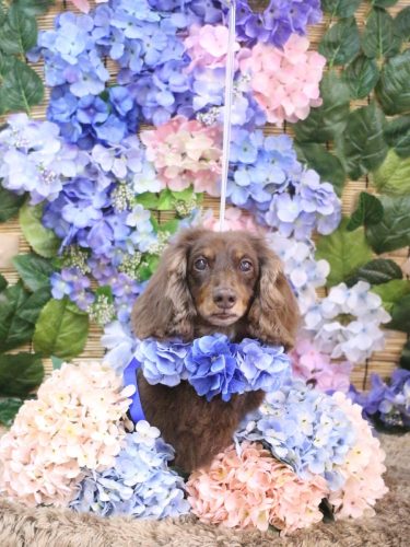 20250621ジョナくん